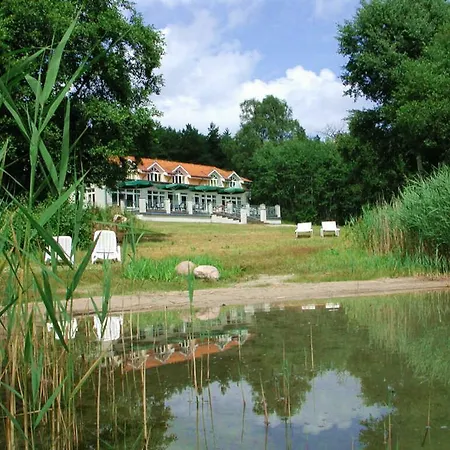 Kiwi Am Dreier See Daire