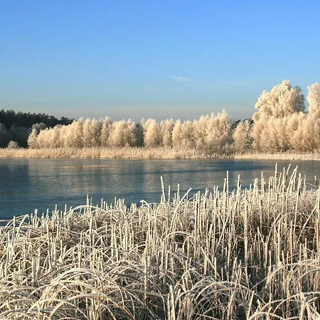 Kiwi Am Dreier See 奥特史威林